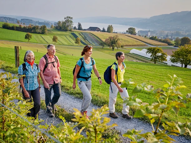 Wandergruppe auf dem Eichberg Seengen