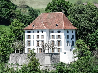Schloss Rued