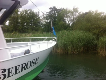 Boot am Hallwiler See
