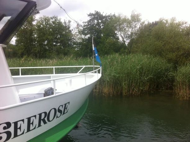Boot am Hallwiler See