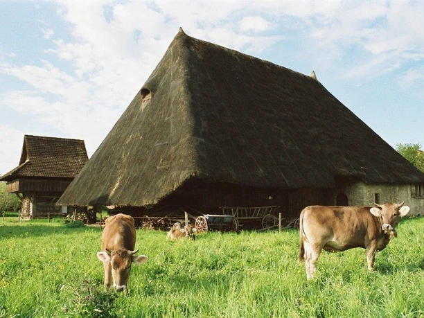 Strohdachhaus Muhen