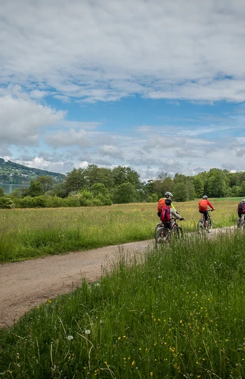 Auf dem Radweg zwischen Aesch und Meisterschwanden