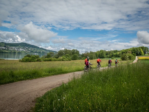 Auf dem Radweg zwischen Aesch und Meisterschwanden