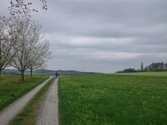 Auf der Hochebene beim Waltersholz