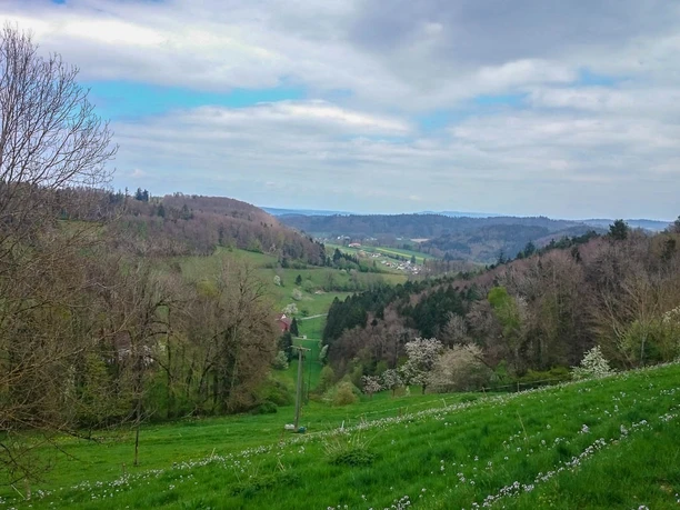 Der Blick schweift nach Unterkulm