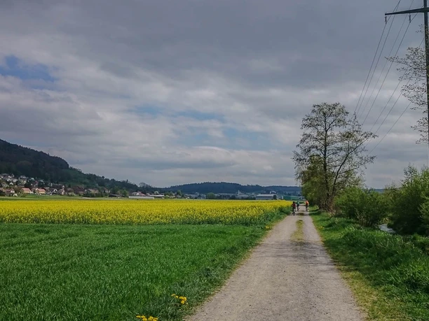 Durch das flache Moos zurück nach Reinach