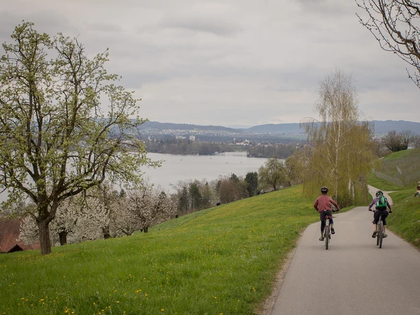 Radeln über dem Sempachersee