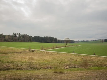 Auf der Ebene nach Beromünster