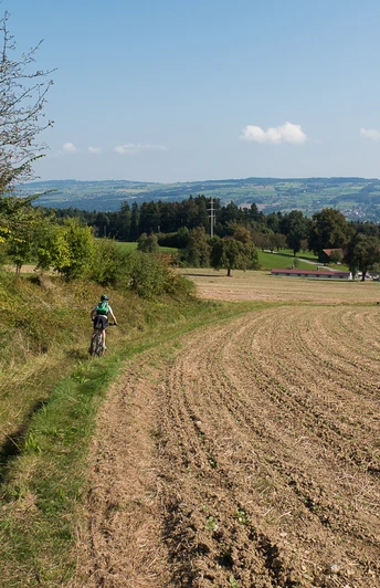 Rasante Abfahrt bei Römerswil