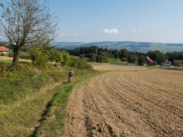 Rasante Abfahrt bei Römerswil
