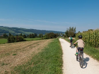 Schöner Radweg über dem Baldeggersee
