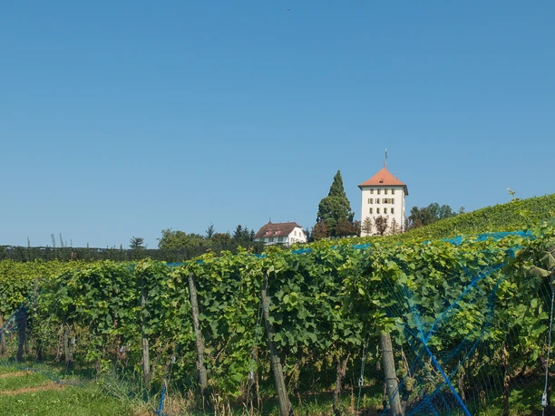 Das Schloss Heidegg ist einen Besuch Wert
