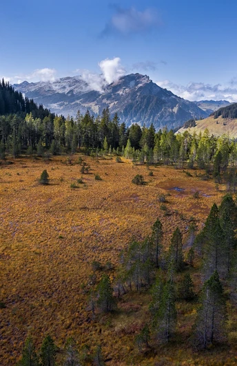 Wilde Moorlandschaft mit Aussicht auf die Entlebucher Bergwelt