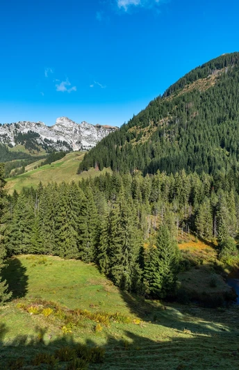 Grüner wird es beim Ende der Tour in der Nähe der Alpwirtschaft Stäldeli in Flühli