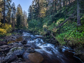 Rundwanderung vom Stäldeli in Flühli zum Seewenselli und Fürstein.