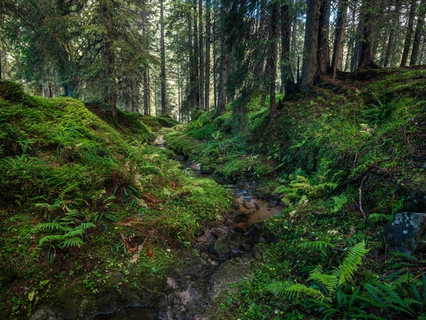 Rundwanderung vom Stäldeli in Flühli zum Seewenselli und Fürstein.