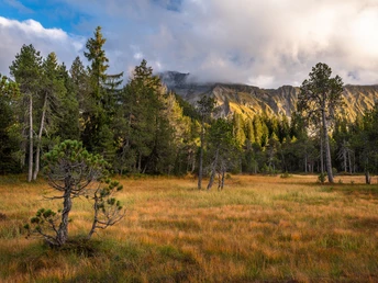 Moorlandschaft von nationaler Bedeutung in Sörenberg
