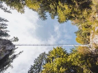 Die 65 Meter lange Hängebrücke Chessimätteli im Chessiloch Flühli