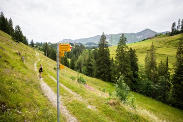 Wanderweg zwischen Sörenberg und Kemmeribodenbad.