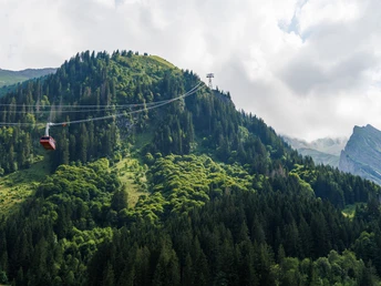 Kulinariktour auf dem Brienzer Rothorn