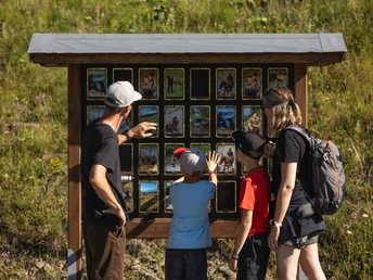 Joel Wicki Weg in Sörenberg