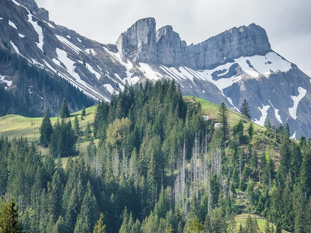 Bike-Tour Rund um die Schrattenfluh