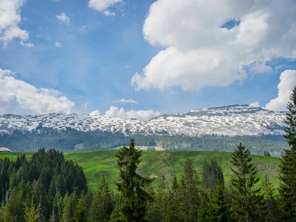 Bike-Tour Rund um die Schrattenfluh