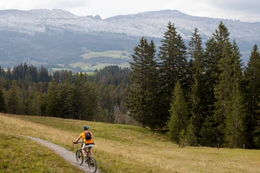 Auf der Bike-Tour erlebt man die Moor- und Karstlandschaft Sörenbergs hautnah