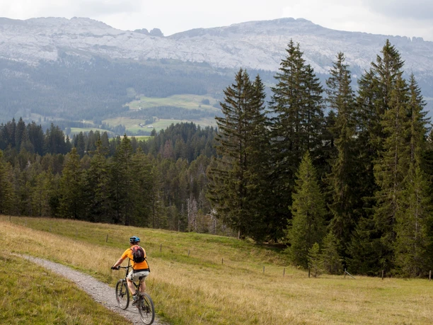 Auf der Bike-Tour erlebt man die Moor- und Karstlandschaft Sörenbergs hautnah