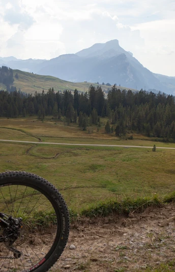 Hochmoor beim Salwideli