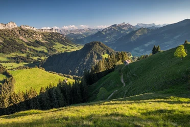 Blick von der Farnere Richtung Schwändeliflue (links) und Schrattenflue (rechts), dazwischen der Brienzergrat.