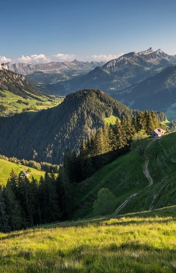 Blick von der Farnere Richtung Schwändeliflue (links) und Schrattenflue (rechts), dazwischen der Brienzergrat.
