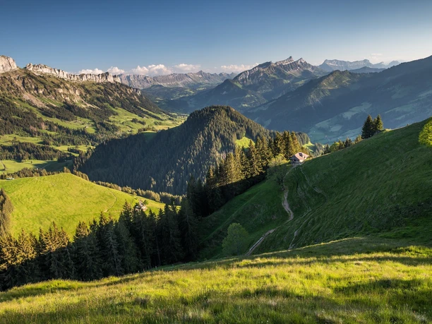 Blick von der Farnere Richtung Schwändeliflue (links) und Schrattenflue (rechts), dazwischen der Brienzergrat.