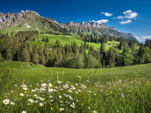 Rundwanderung Schüphfeim-Farnere