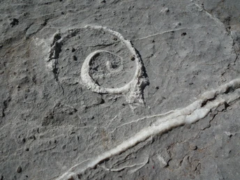 Spannende Versteinerungen auf dem Geopfad