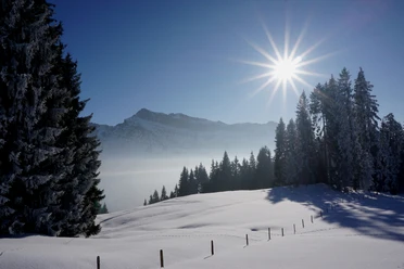 Märchenhafte Winterlandschaft