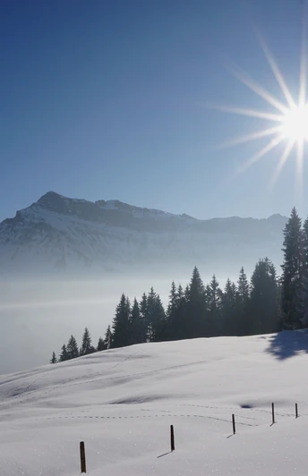 Märchenhafte Winterlandschaft