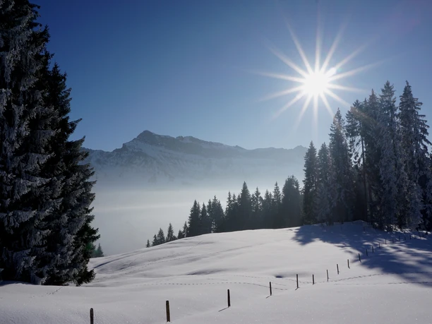Märchenhafte Winterlandschaft