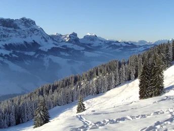 Aussicht auf den Emmentaler Hohgant
