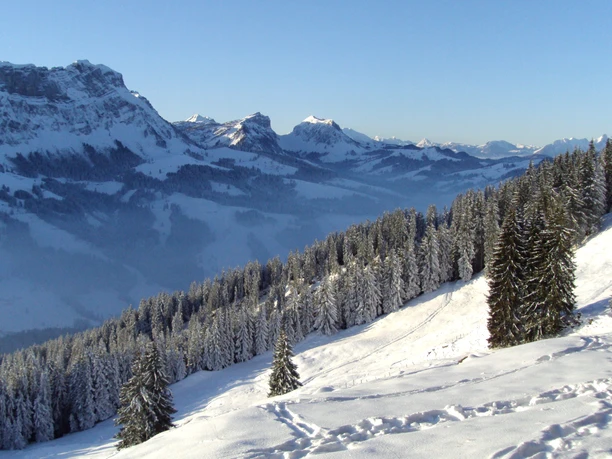 Aussicht auf den Emmentaler Hohgant