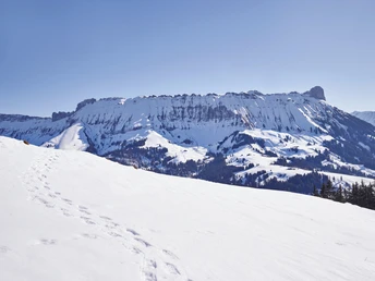 Spuren im Schnee, im Hintergrund die Schrattenfluh