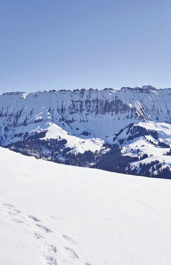 Spuren im Schnee, im Hintergrund die Schrattenfluh