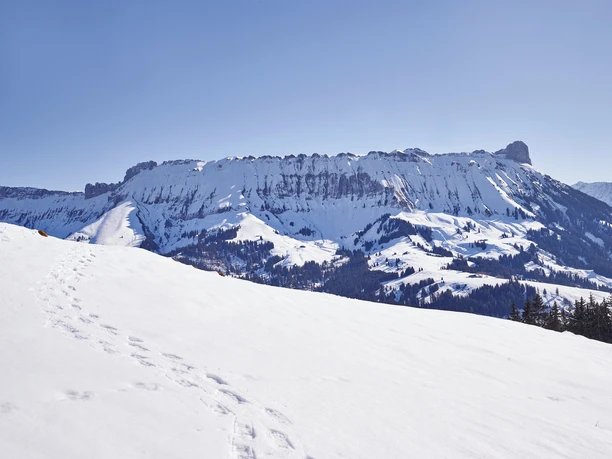 Spuren im Schnee, im Hintergrund die Schrattenfluh