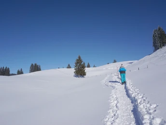 Mit den Schneeschuhen unterwegs auf der Marbachegg