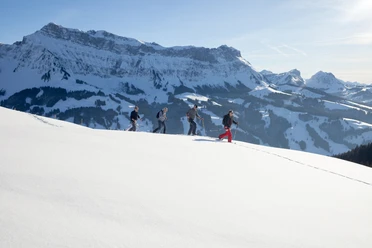 Schneeschuhtour auf der Marbachegg, im Hintergrund der Hohgant