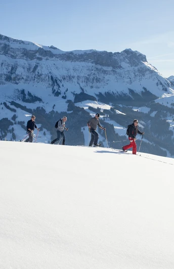 Schneeschuhtour auf der Marbachegg, im Hintergrund der Hohgant