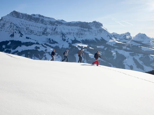 Schneeschuhtour auf der Marbachegg, im Hintergrund der Hohgant