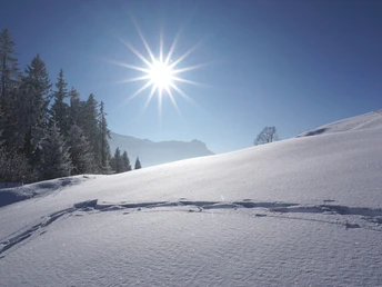 Verschneite Märchenwelt auf der Marbachegg