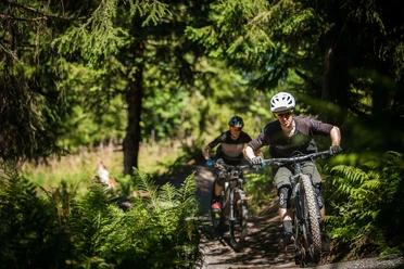 Kurze Waldabstücke spenden ein wenig Schatten beim Biken im Entlebuch.