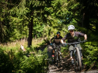 Kurze Waldabstücke spenden ein wenig Schatten beim Biken im Entlebuch.